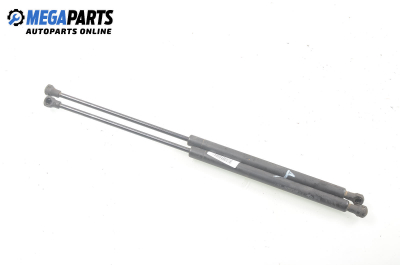 Амортисьор за багажник/товарно пространство за Citroen C5 I Sedan (03.2001 - 03.2005)