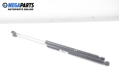 Амортисьор за багажник/товарно пространство за Renault Espace III Minivan (11.1996 - 10.2002)