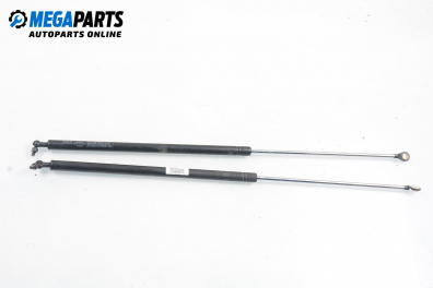 Амортисьор за багажник/товарно пространство за Hyundai Coupe Coupe I (06.1996 - 04.2002)