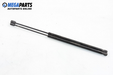 Амортисьор за багажник/товарно пространство за Renault Megane Scenic (10.1996 - 12.2001)