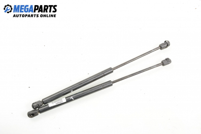 Амортисьор за багажник/товарно пространство за Hyundai Santa Fe I SUV (11.2000 - 03.2006)