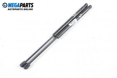 Амортисьор за багажник/товарно пространство за Fiat Punto Hatchback (09.1993 - 09.1999)