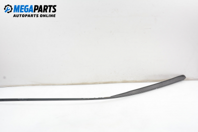 Лайсна таван за Mercedes-Benz A-Class Hatchback (W169) (09.2004 - 06.2012), позиция: дясна