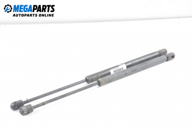 Амортисьор за багажник/товарно пространство за Renault Megane I Hatchback (08.1995 - 12.2004)