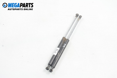 Амортисьор за багажник/товарно пространство за Renault Clio II Hatchback (09.1998 - 09.2005)