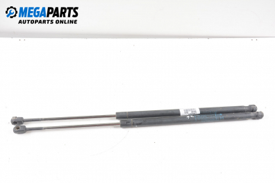 Амортисьор за багажник/товарно пространство за Fiat Stilo Multi Wagon (01.2003 - 08.2008)