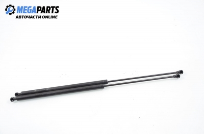 Амортисьор за багажник/товарно пространство за Citroen Xsara Picasso (09.1999 - 06.2012)