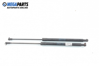 Амортисьор за багажник/товарно пространство за Audi A4 Avant B6 (04.2001 - 12.2004)