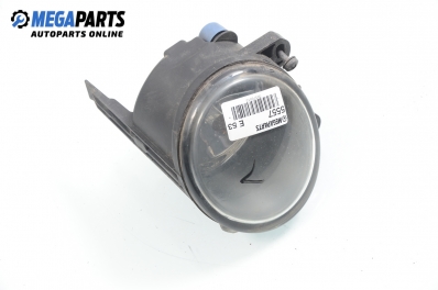 Халоген за BMW X5 Series E53 (05.2000 - 12.2006), позиция: лява