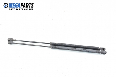 Амортисьор за багажник/товарно пространство за Seat Ibiza III Hatchback (08.1999 - 02.2002)