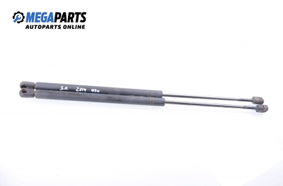 Амортисьор за багажник/товарно пространство за Opel Astra G Hatchback (02.1998 - 12.2009)