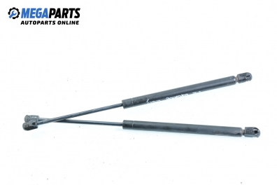 Амортисьор за багажник/товарно пространство за Renault Megane I Hatchback (08.1995 - 12.2004)