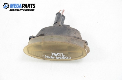 Плафон заден номер за Opel Corsa B Hatchback (03.1993 - 12.2002)