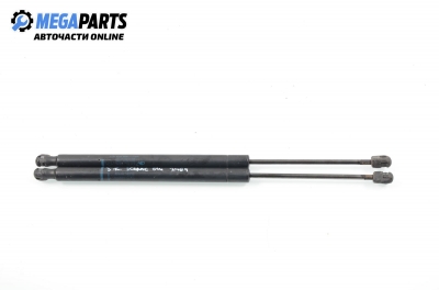 Амортисьор за багажник/товарно пространство за Renault Scenic II Minivan (06.2003 - 07.2010)