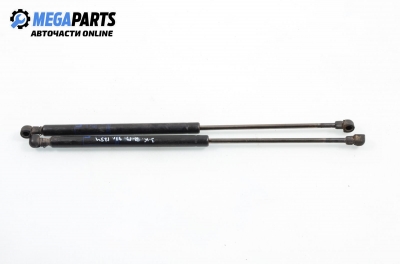 Амортисьор за багажник/товарно пространство за Renault 19 II Hatchback (01.1991 - 06.2001)