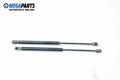 Амортисьор за багажник/товарно пространство за Renault Clio II Hatchback (09.1998 - 09.2005)