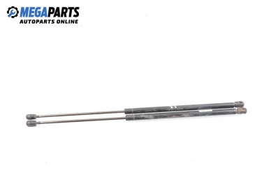 Амортисьор за багажник/товарно пространство за Mercedes-Benz M-Class SUV (W163) (02.1998 - 06.2005)