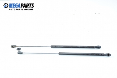 Амортисьор за багажник/товарно пространство за Renault Laguna I Grandtour (09.1995 - 03.2001)