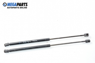 Амортисьор за багажник/товарно пространство за Volkswagen Golf III Hatchback (08.1991 - 07.1998)