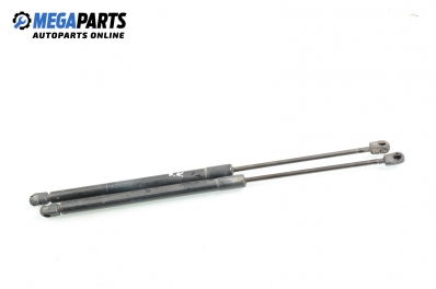 Амортисьор за багажник/товарно пространство за Nissan Murano I SUV (08.2003 - 09.2008)