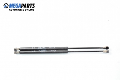 Амортисьор за багажник/товарно пространство за Renault Scenic I Minivan (09.1999 - 07.2010)