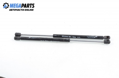 Амортисьор за багажник/товарно пространство за Renault Megane I Hatchback (08.1995 - 12.2004)