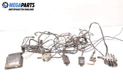 Газов инжекцион за Mercedes-Benz Sprinter 4-t Box (904) (02.1996 - 05.2006) 414, 143 к.с., BRC FlyGas