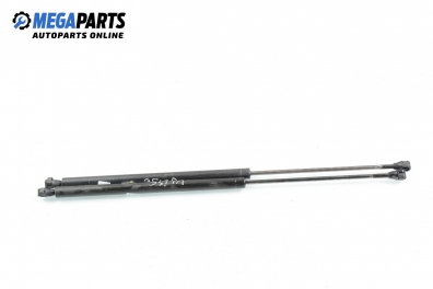 Амортисьор за багажник/товарно пространство за Renault Megane Scenic (10.1996 - 12.2001)