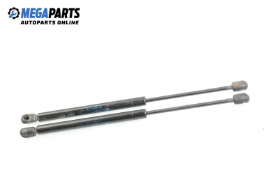 Амортисьор за багажник/товарно пространство за Renault Clio II Hatchback (09.1998 - 09.2005)