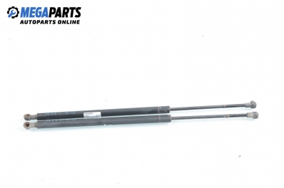 Амортисьор за багажник/товарно пространство за BMW X5 Series E53 (05.2000 - 12.2006)