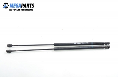 Амортисьор за багажник/товарно пространство за Ford Fiesta IV Hatchback (08.1995 - 09.2002)