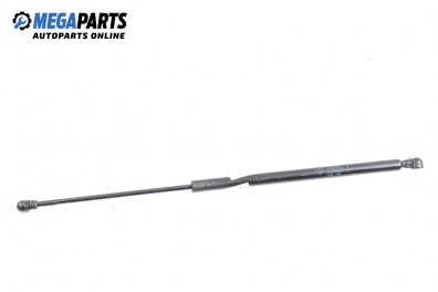 Амортисьор за багажник/товарно пространство за Renault Scenic I Minivan (09.1999 - 07.2010)