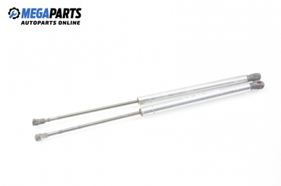 Амортисьор за багажник/товарно пространство за Audi A3 Hatchback I (09.1996 - 05.2003)