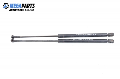 Амортисьор за багажник/товарно пространство за Audi A4 Avant B5 (11.1994 - 09.2001)