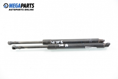 Амортисьор за багажник/товарно пространство за BMW 5 Series E39 Sedan (11.1995 - 06.2003)