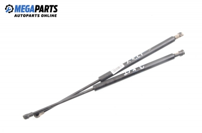 Амортисьор за багажник/товарно пространство за Renault Scenic I Minivan (09.1999 - 07.2010)