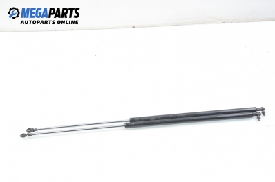 Амортисьор за багажник/товарно пространство за Hyundai Coupe Coupe I (06.1996 - 04.2002)