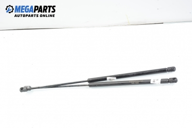 Амортисьор за багажник/товарно пространство за Renault Megane Scenic (10.1996 - 12.2001)