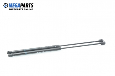 Амортисьор за багажник/товарно пространство за Ford Fiesta IV Hatchback (08.1995 - 09.2002)