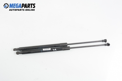 Амортисьор за багажник/товарно пространство за Audi A4 Sedan B7 (11.2004 - 06.2008)