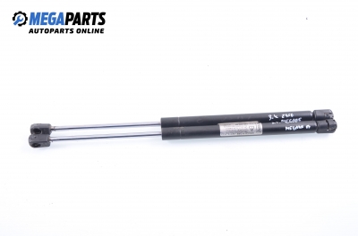 Амортисьор за багажник/товарно пространство за Renault Megane II Hatchback (07.2001 - 10.2012)