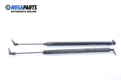 Амортисьор за багажник/товарно пространство за Chrysler Voyager Minivan III (01.1995 - 03.2001)