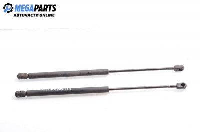 Амортисьор за багажник/товарно пространство за Renault Clio I Hatchback (05.1990 - 09.1998)