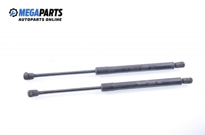 Амортисьор за багажник/товарно пространство за Hyundai Santa Fe II SUV (10.2005 - 03.2015)