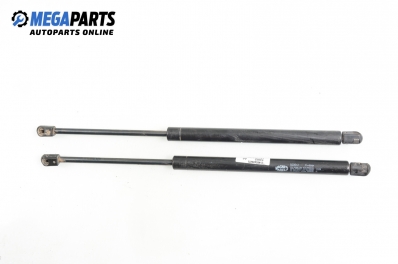 Амортисьор за багажник/товарно пространство за Audi A6 Avant C5 (11.1997 - 01.2005)