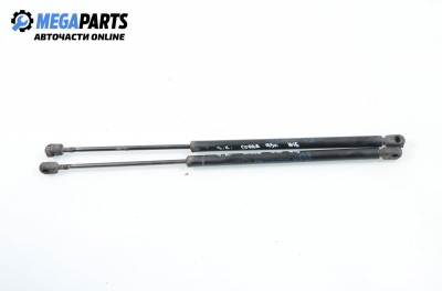 Амортисьор за багажник/товарно пространство за Opel Corsa B Hatchback (03.1993 - 12.2002)