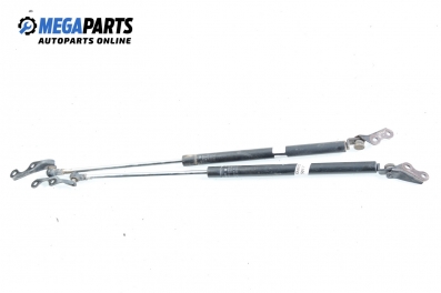 Амортисьор за багажник/товарно пространство за Toyota Yaris Hatchback I (01.1999 - 12.2005)