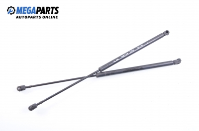 Амортисьор за багажник/товарно пространство за Volkswagen New Beetle Coupe (01.1998 - 09.2010)