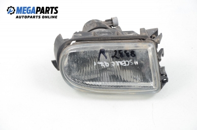 Халоген за Renault Megane Scenic (10.1996 - 12.2001), позиция: лява