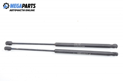 Амортисьор за багажник/товарно пространство за Fiat Punto Hatchback II (09.1999 - 07.2012)